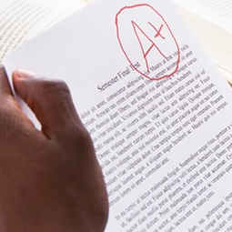 Before You Begin Grading