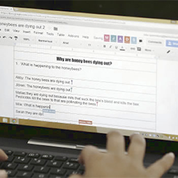 Grading and Testing Online