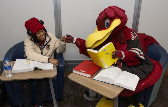 Cocky fist bumping a student in the library. They are sitting in desks with open books on them. 