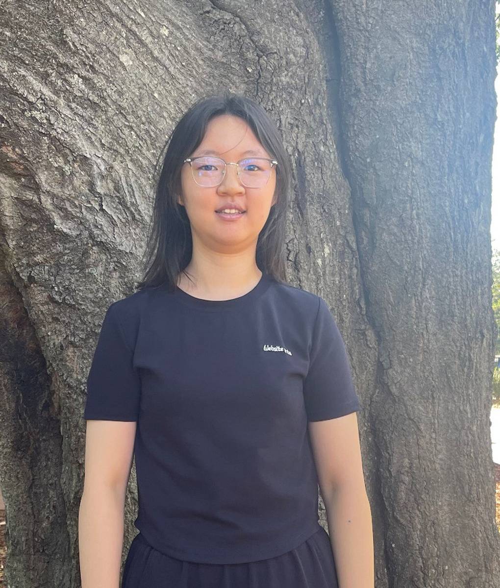 Qingyi Hu