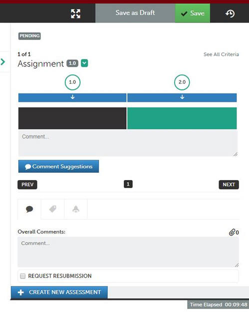 assessor image