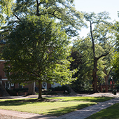 UofSC Campus